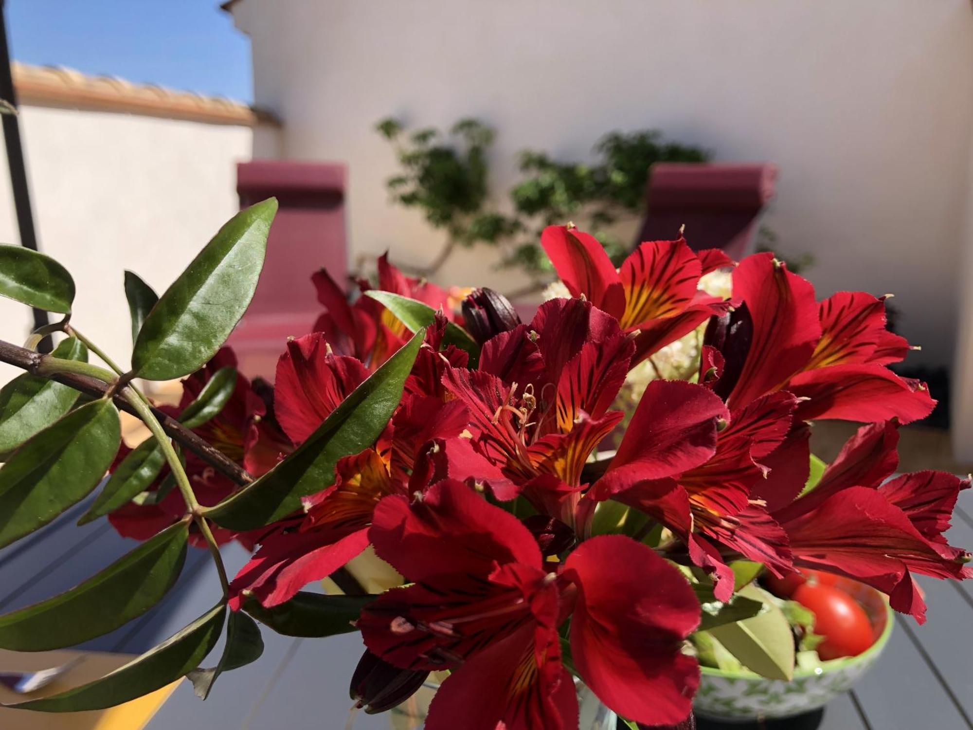 Gites La Catalane Theza Pokoj fotografie